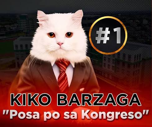 Congressmeow, a white cat in a dark suit and red tie